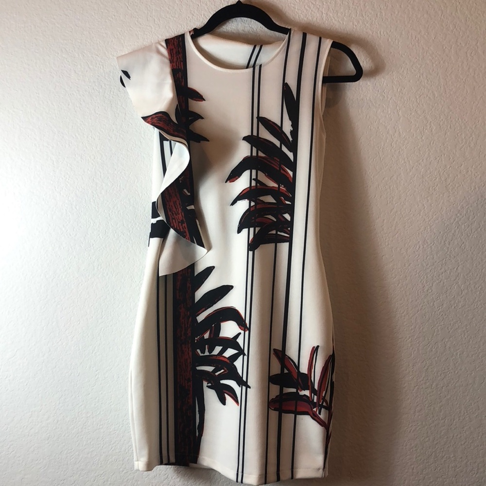 Zara Dress